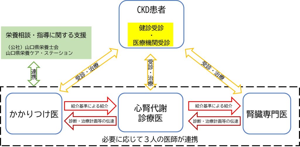 山口県心腎代謝（CKM）診療医認定制度のイメージ図